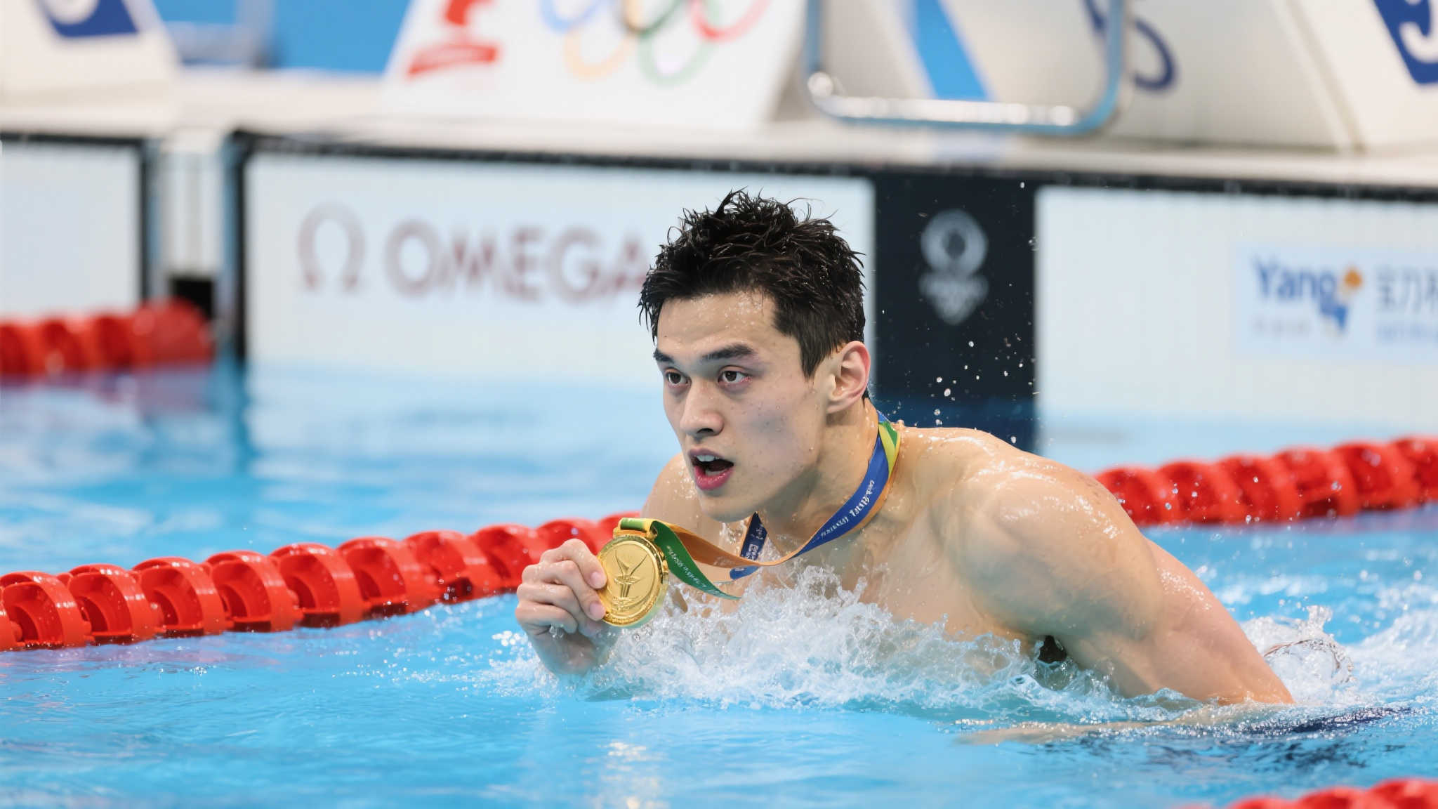 韦尔的领导 韦尔的领导