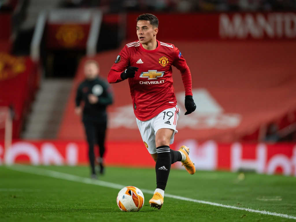 甚至是觀賽 甚至是觀賽